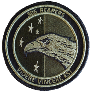 306 Sqn badge camo
